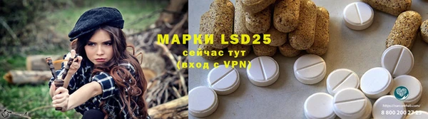 индика Магадан