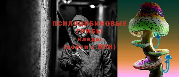индика Магадан