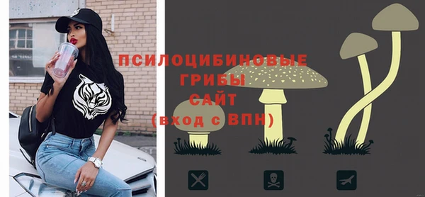 индика Магадан