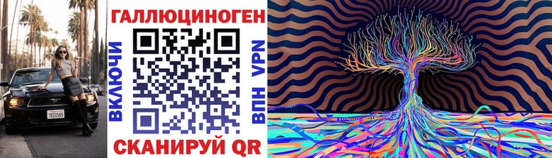 darknet состав  Чудово  Галлюциногенные грибы Psilocybe 
