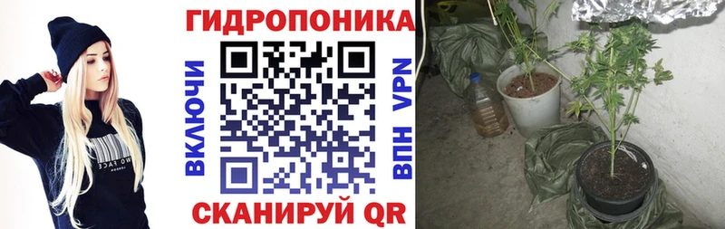гидра зеркало  Чудово  Шишки марихуана Amnesia 